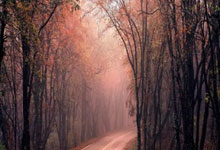 ​双号扫尾巴菲特，500点测试卡,巴菲特1万点 ​ 巴菲特 主线 http://bft.456sh.com/