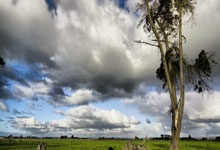 云端☁️雷霆 全新UI独家协议打造 花费数月突破真正同秒收尾 全网独家支持手点收尾操作 全局设置简单实用，功能齐全 安全中间抢包括拖拉机一应俱全 支持不抢单包雷 不抢多包雷 更新市场最全玩法 欢迎品鉴