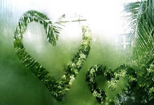 双号推荐☁️天使/格力/极光/问界  巴博斯/北极星/宝格丽/范思哲/猛虎  稳定售后 全新协议 欢迎对比测试