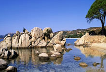 糖果思语透天卡,糖果思语透小时卡，糖果思语透月卡